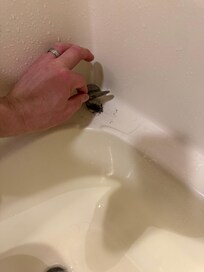 Former renter’s hair stuck on the tub shelf under the hair catcher. My husband found that after using a screwdriver to clean more hair and debris from the drain and then bleach the whole thing so we could use it.