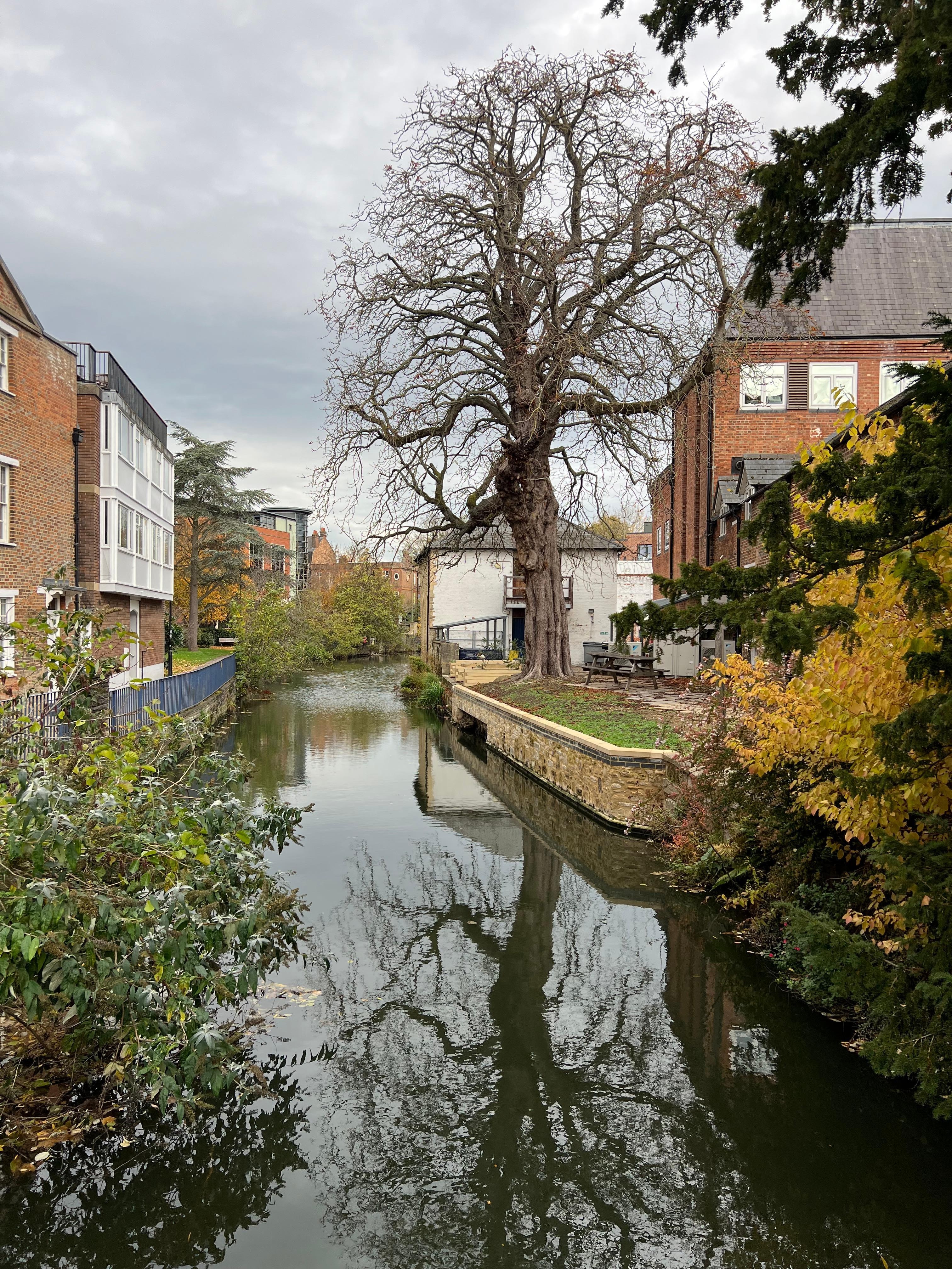 Right next to the hotel