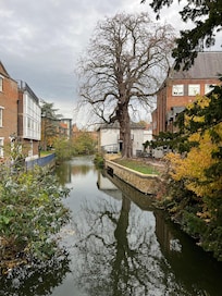 Right next to the hotel