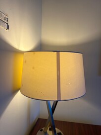Stained and torn lamp shades