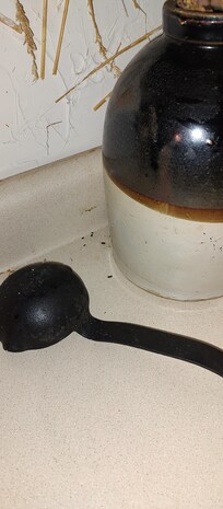 Mouse droppings on counter