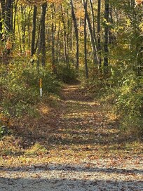 Walking trails nearby