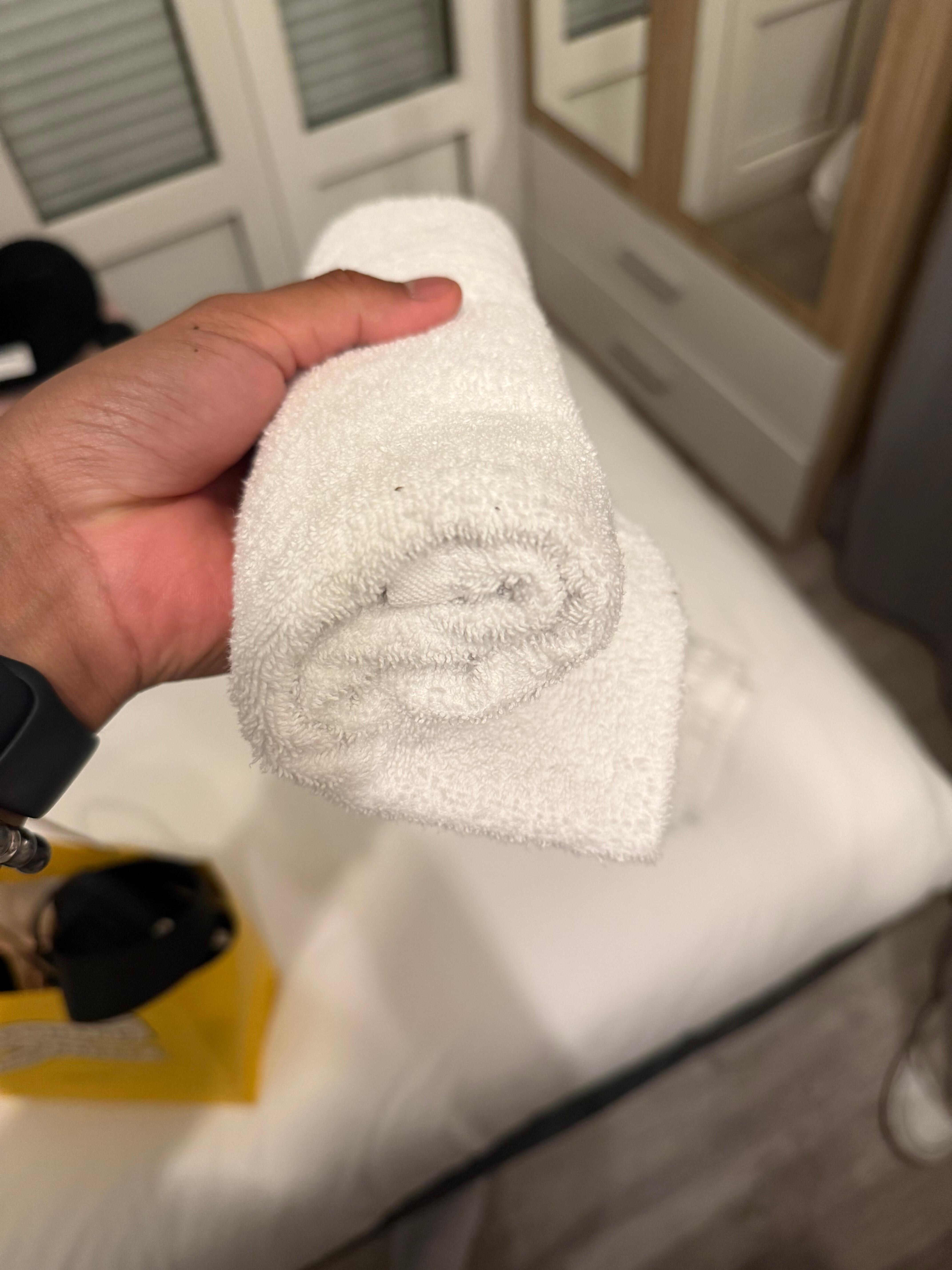 Tiny little bugs on everything ☹️🤬