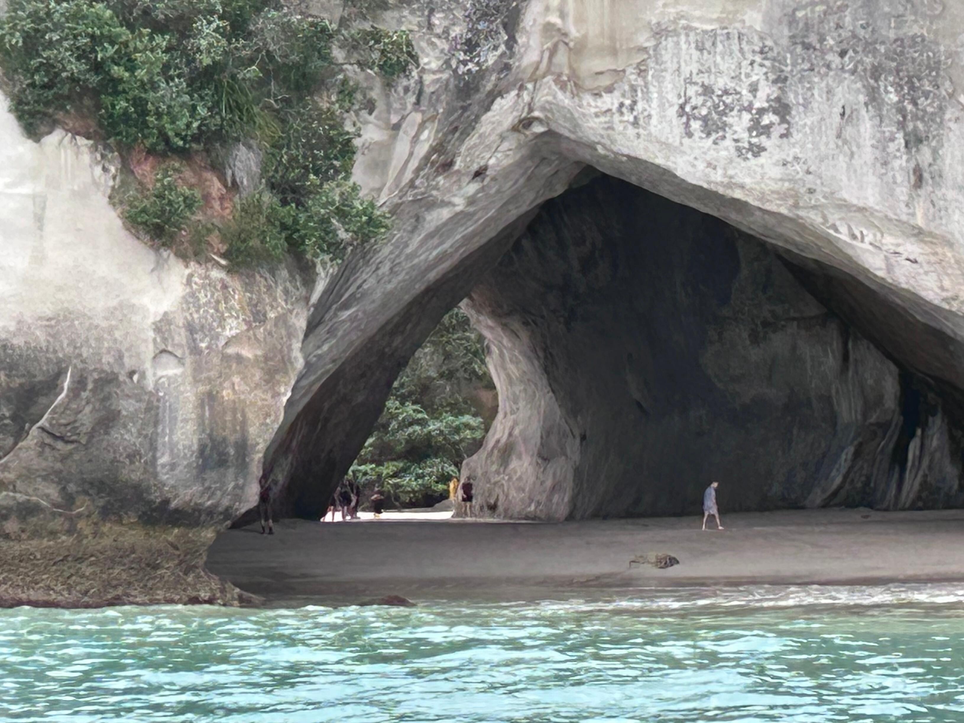 Cathedral cove on glass bottom boat trip. 