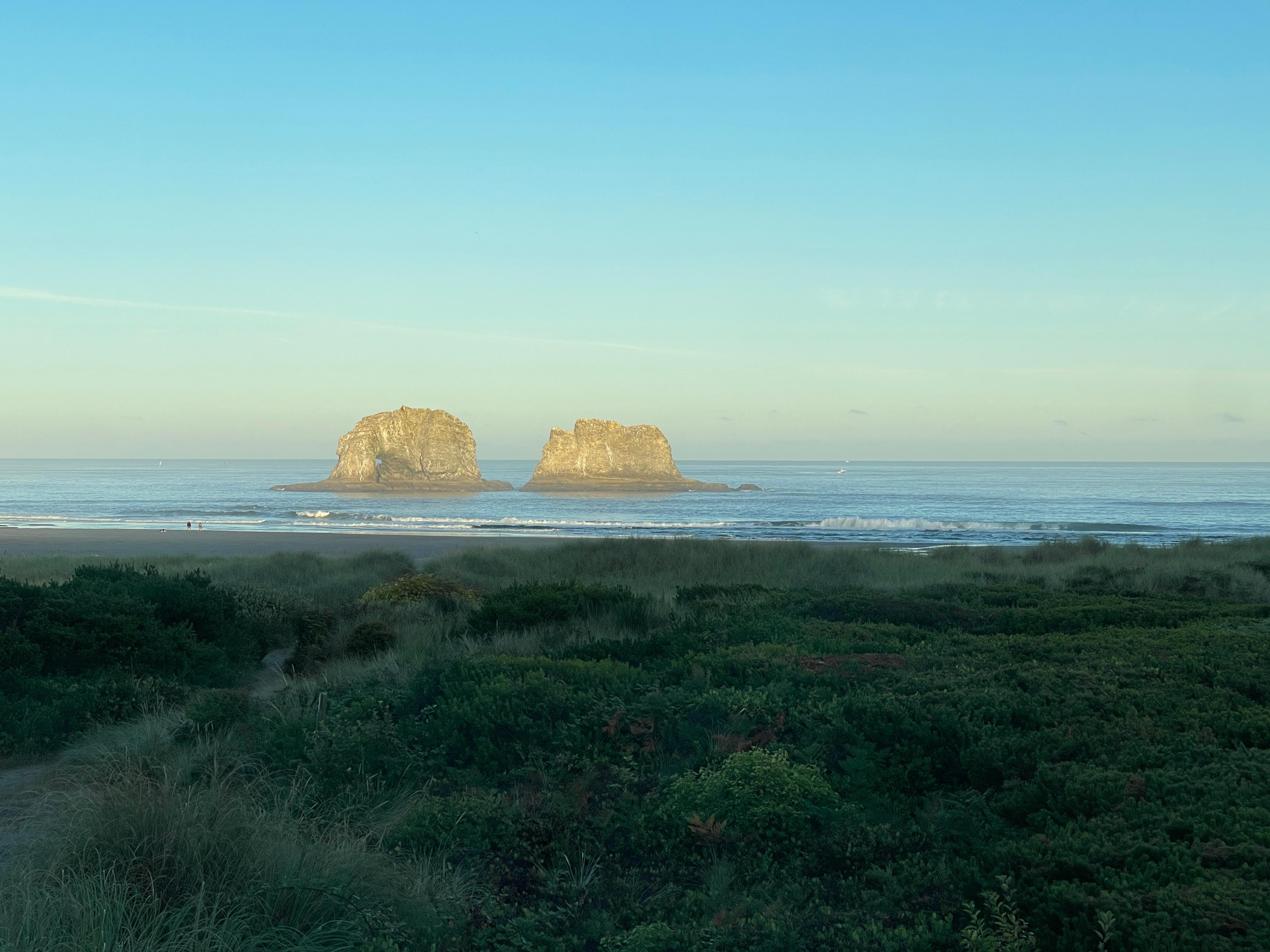 Morning view looking out a bedroom window.