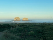 Morning view looking out a bedroom window.