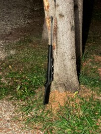 Rifle by door when we arrived first night.