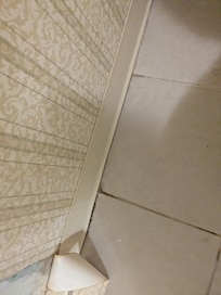Mold in grout of bathroom floor
