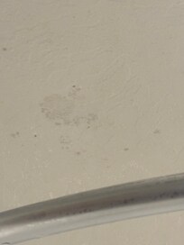 Mold on ceiling