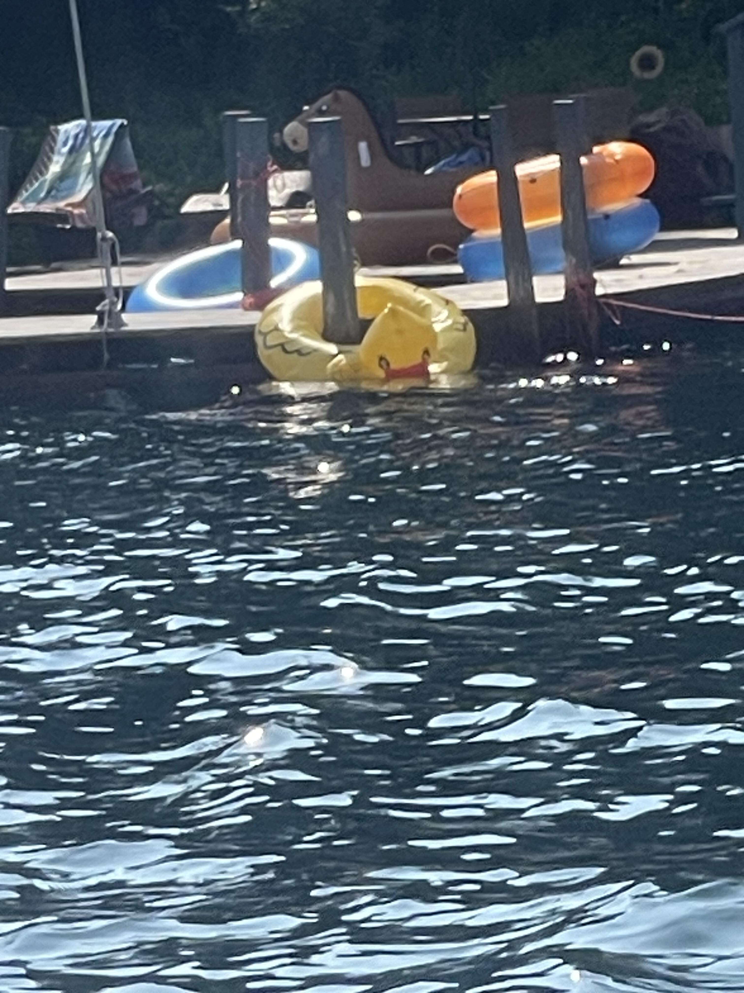 Poor ducky