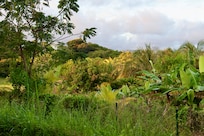 Vue depuis la terrasse