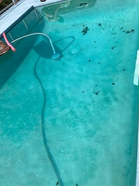 Pool needed cleaned