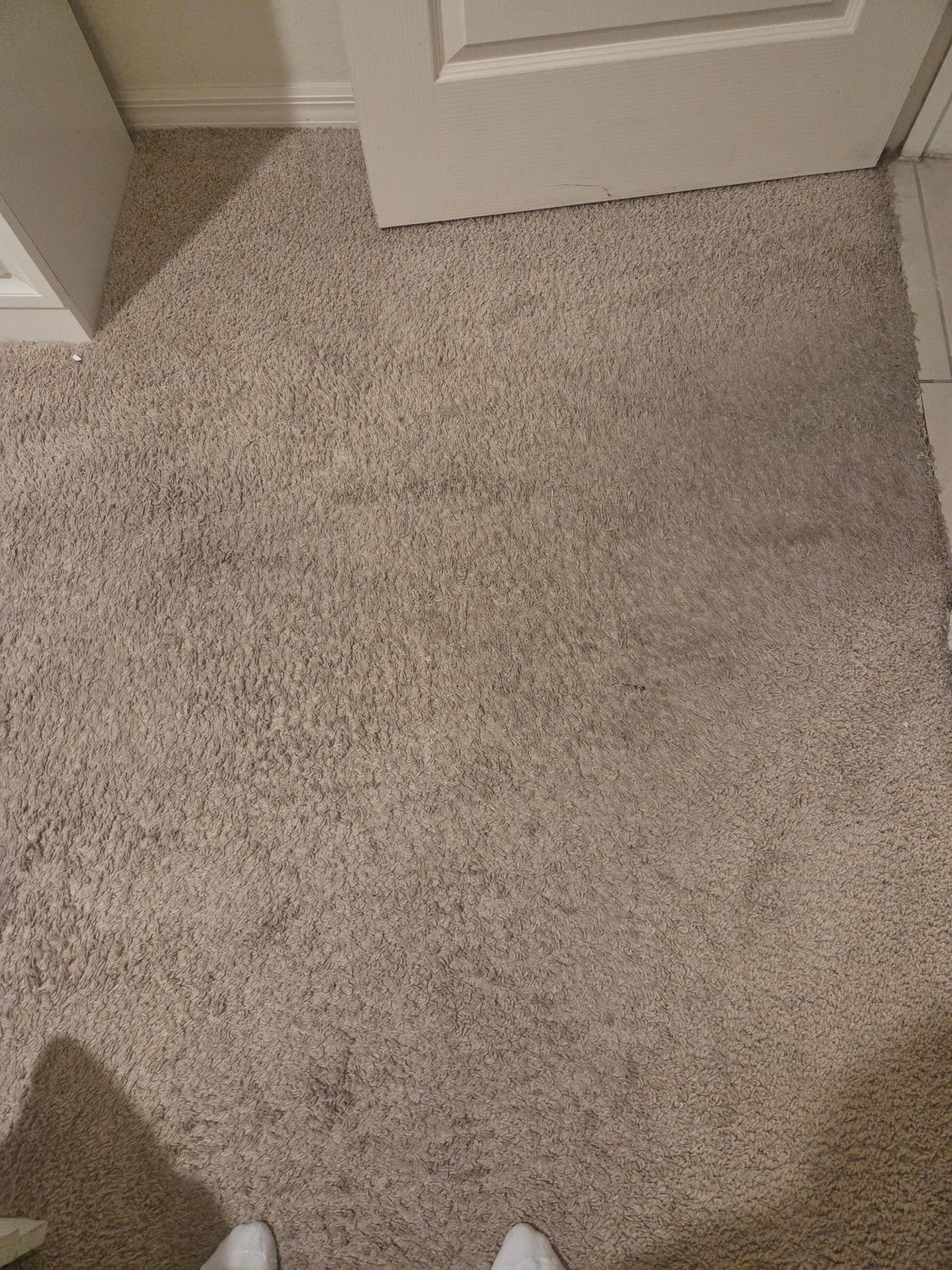 First floor Bedroom entry:

Filthy carpet 