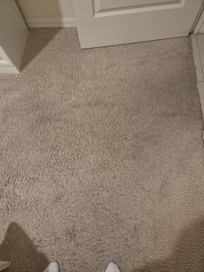First floor Bedroom entry:
Filthy carpet