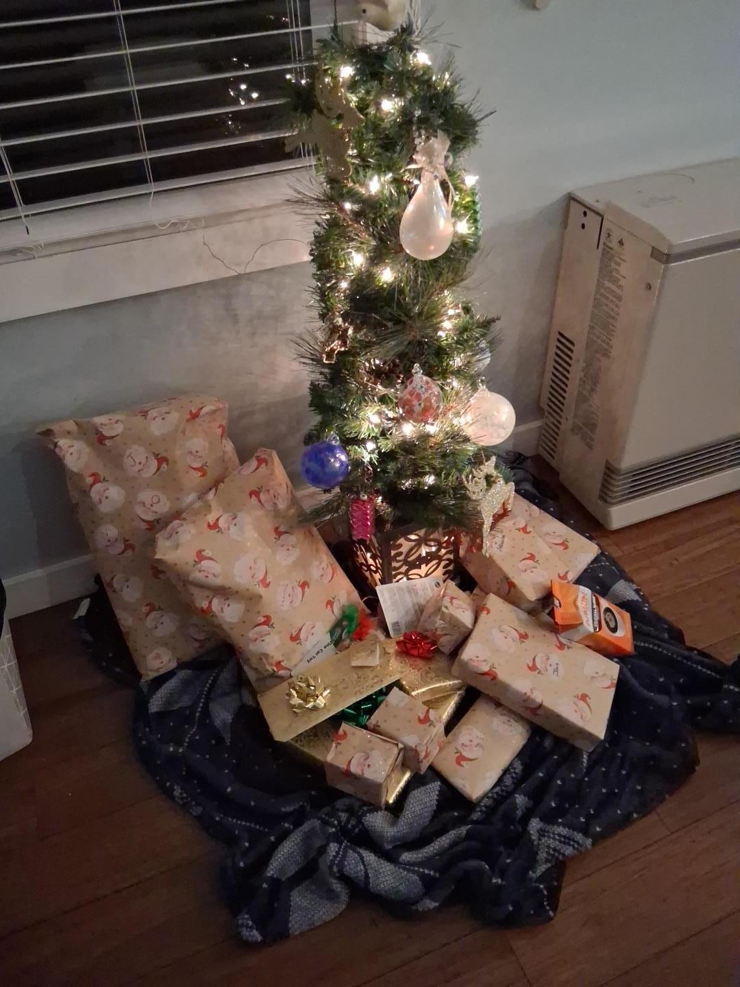 The little Charlie Brown Christmas tree next to the excellent heater. Love this place!