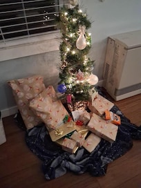 The little Charlie Brown Christmas tree next to the excellent heater. Love this place!