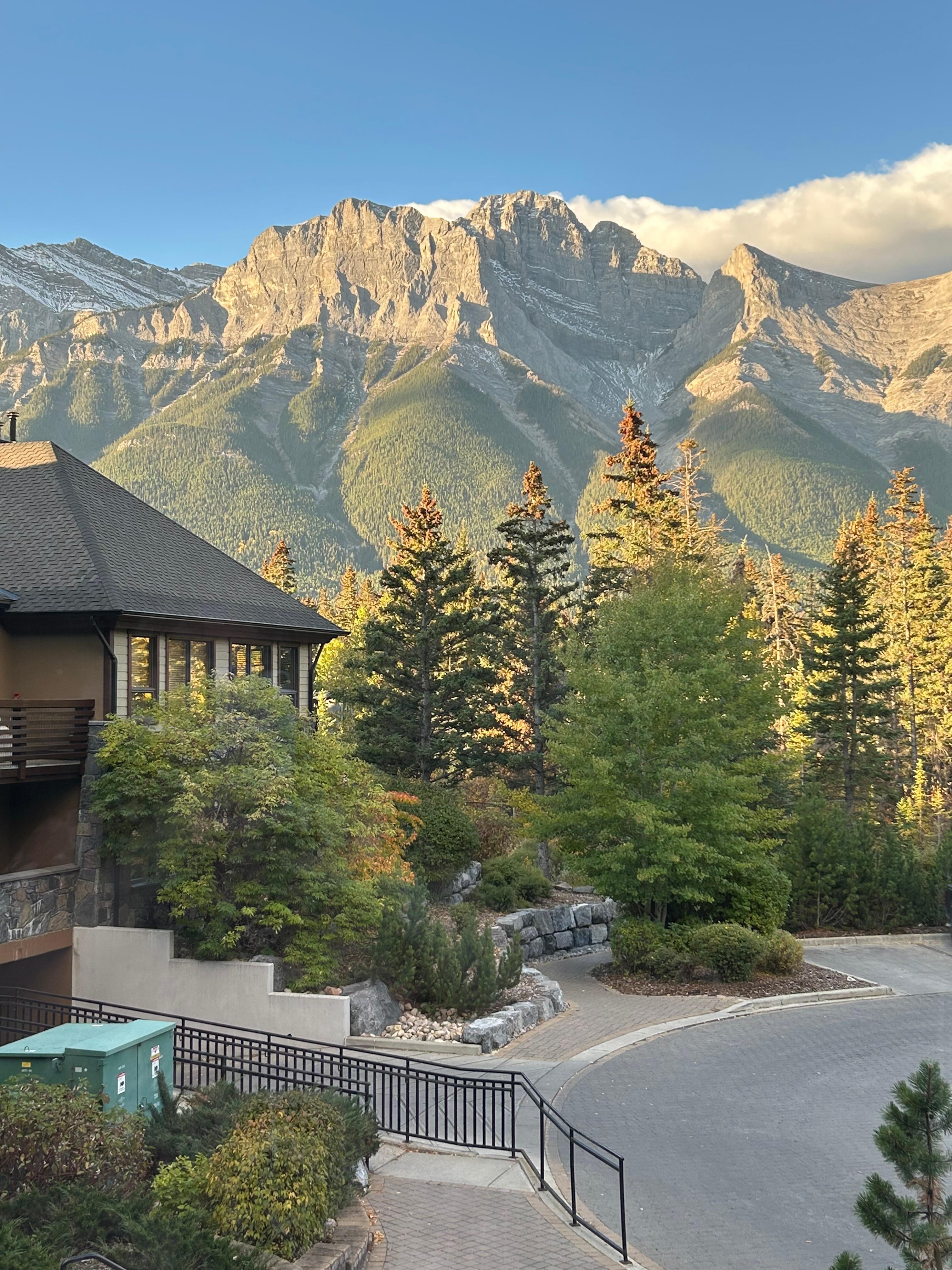 View from living room on arrival