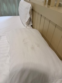 Ser ut som mögel