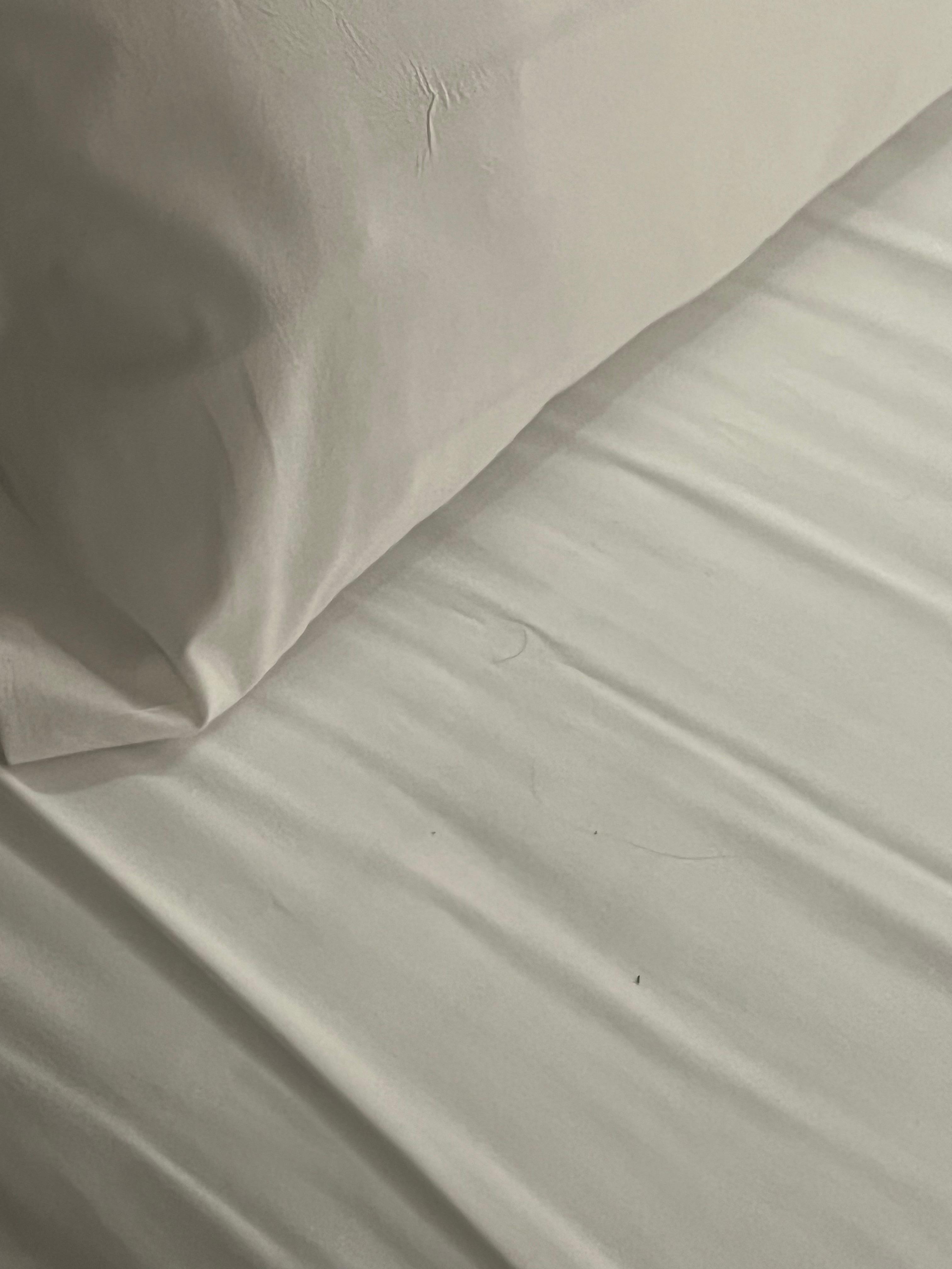 First location find hair on bed.