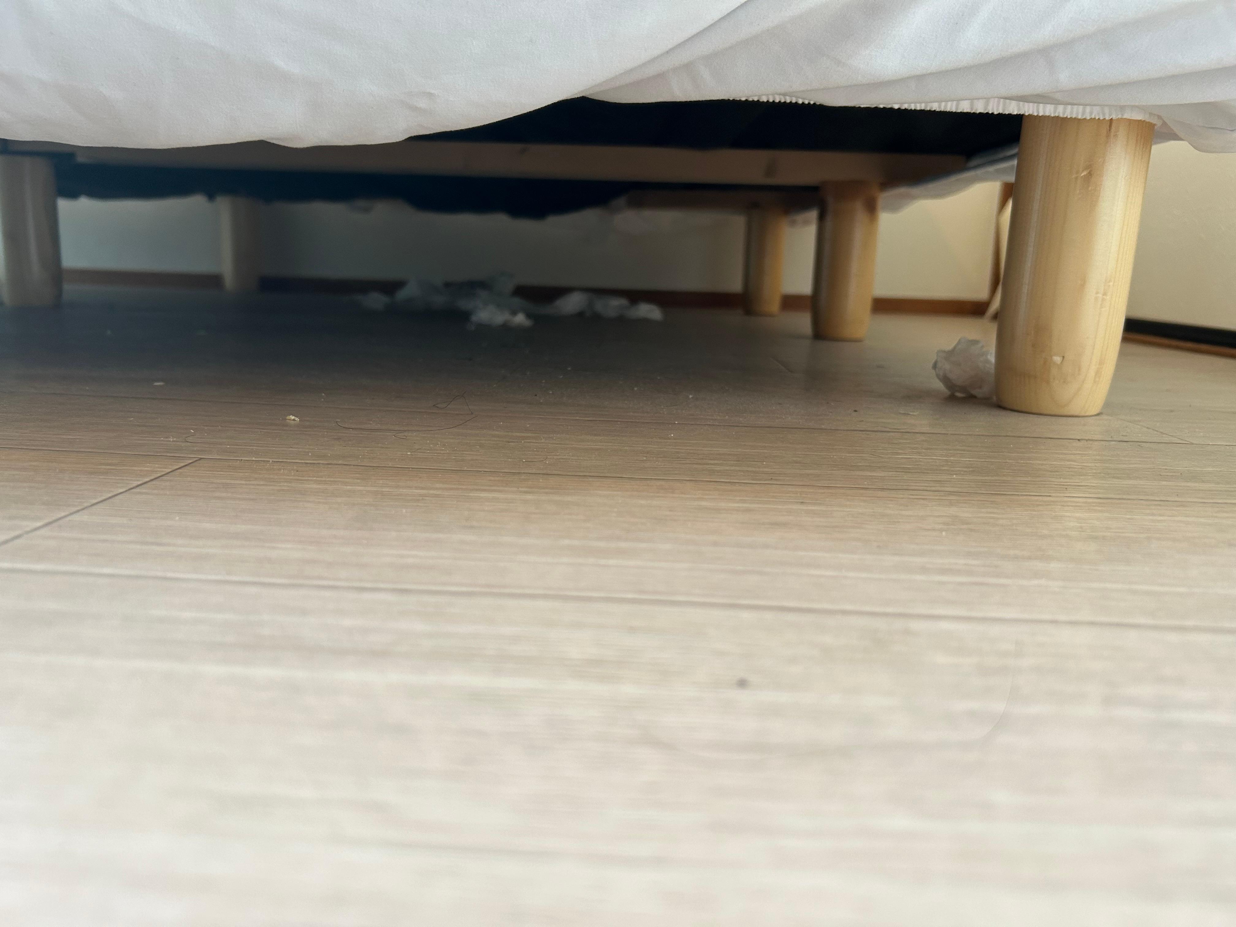 ベッドの下
清掃行き届いてない。