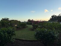 Garden view from balcony