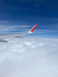 Un vuelo maravilloso y encantado para mis hijos