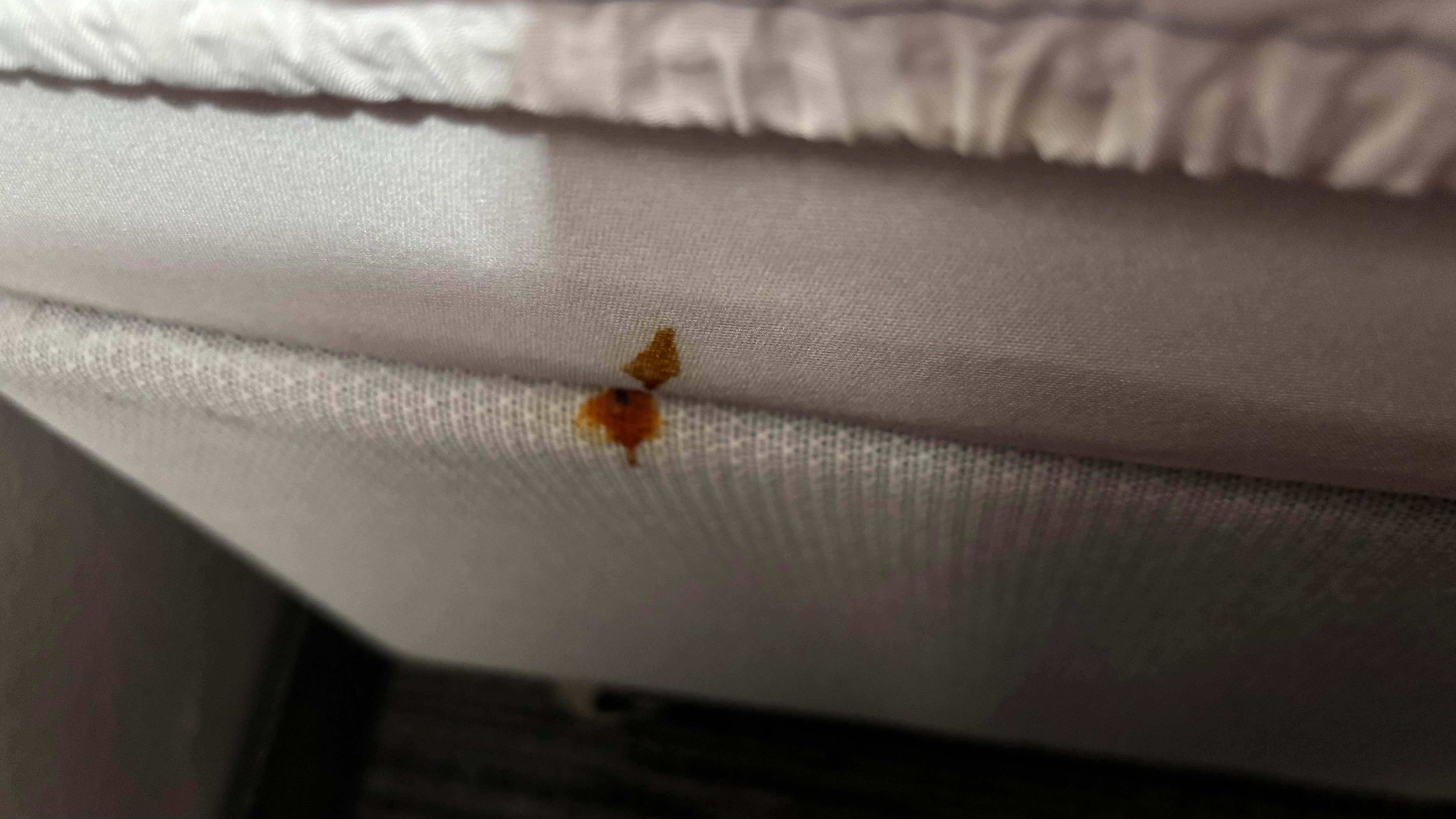 Pizza sauce or blood on the side of the mattress