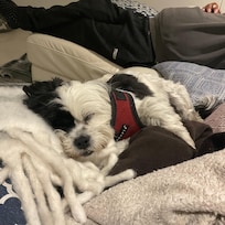 After an exhausting beach walk.