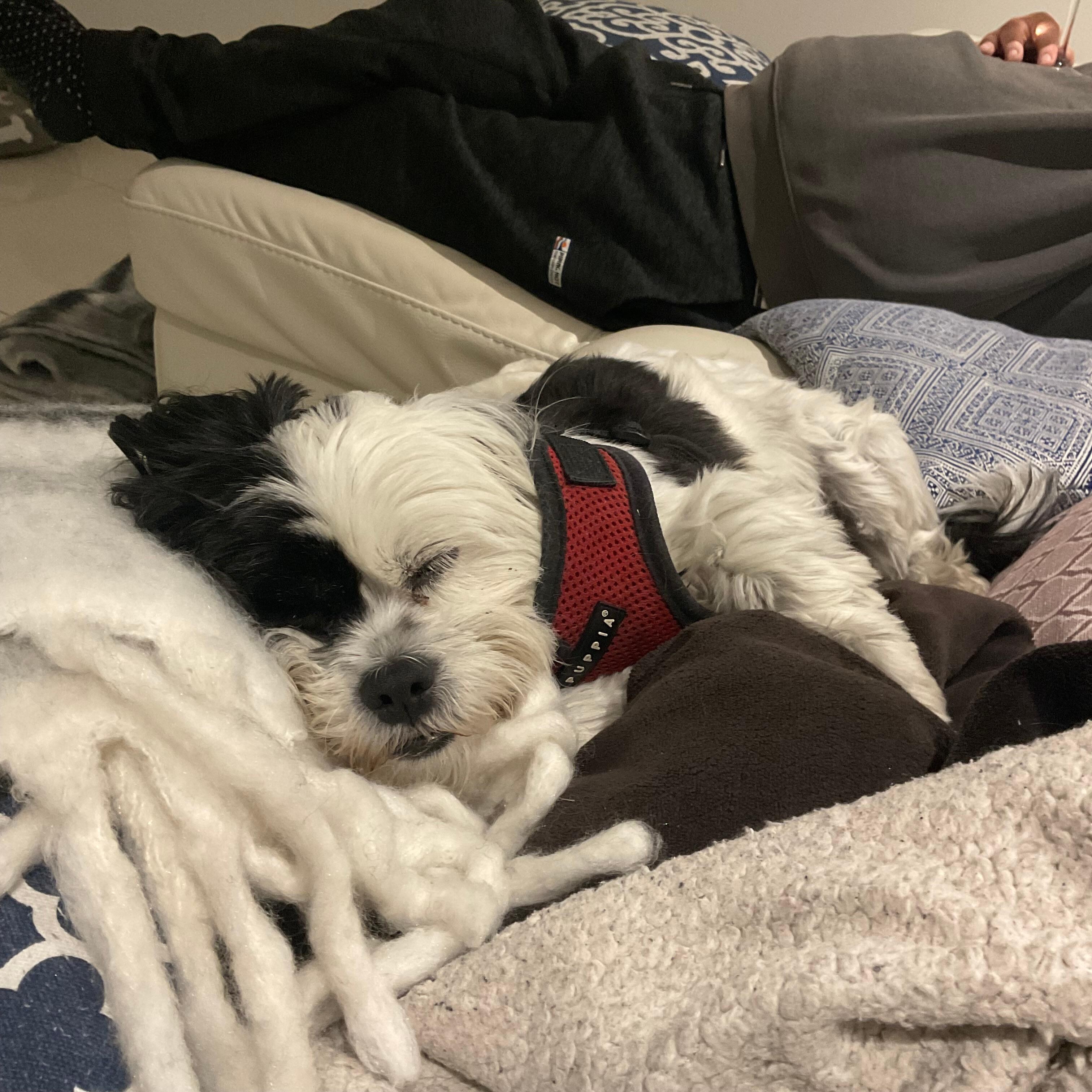 After an exhausting beach walk.