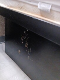 This looked like dried vomit on the bottom of the bed.