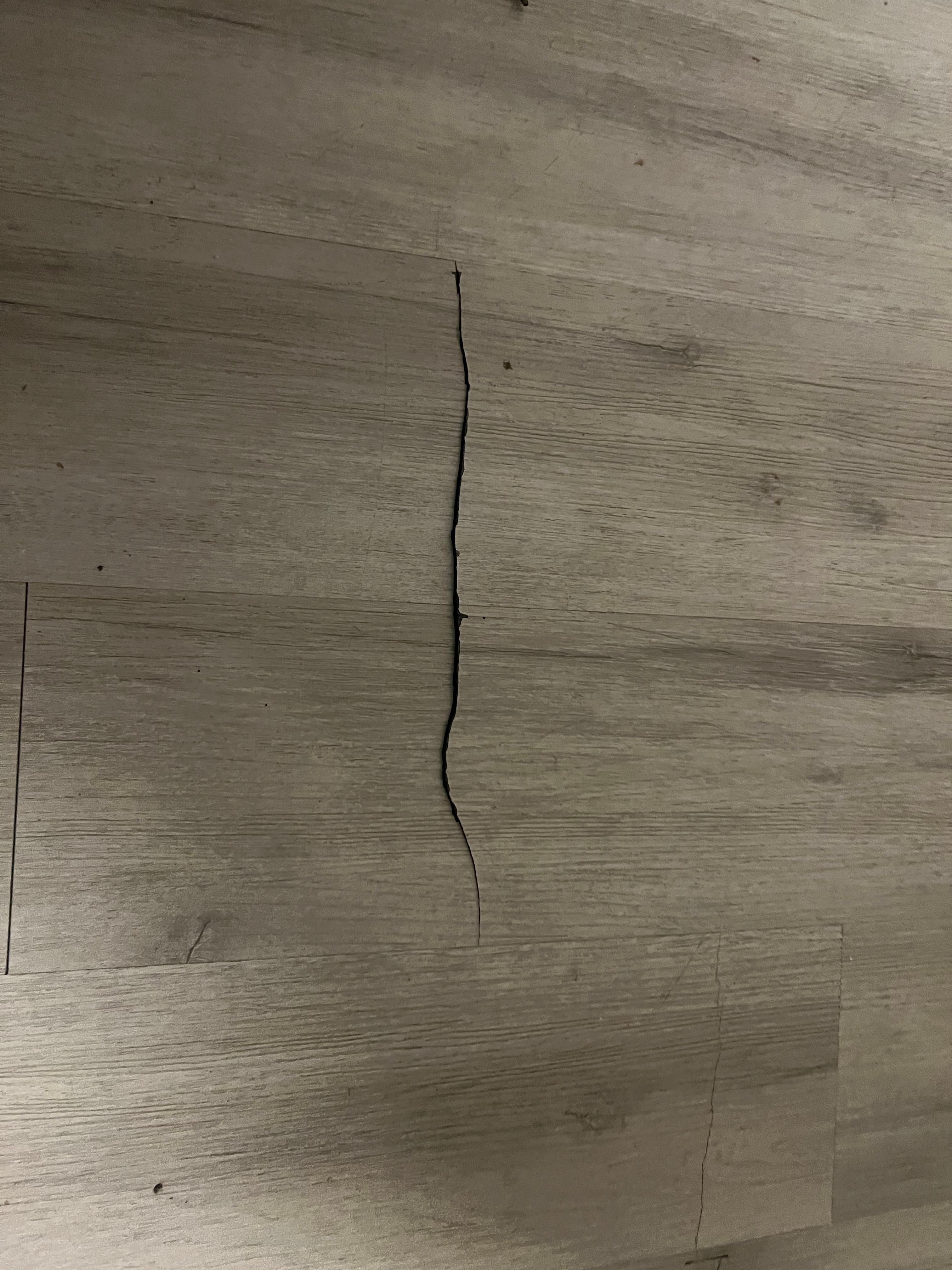 The flooring in the living room has a rip
