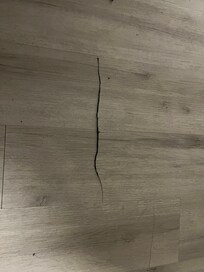 The flooring in the living room has a rip