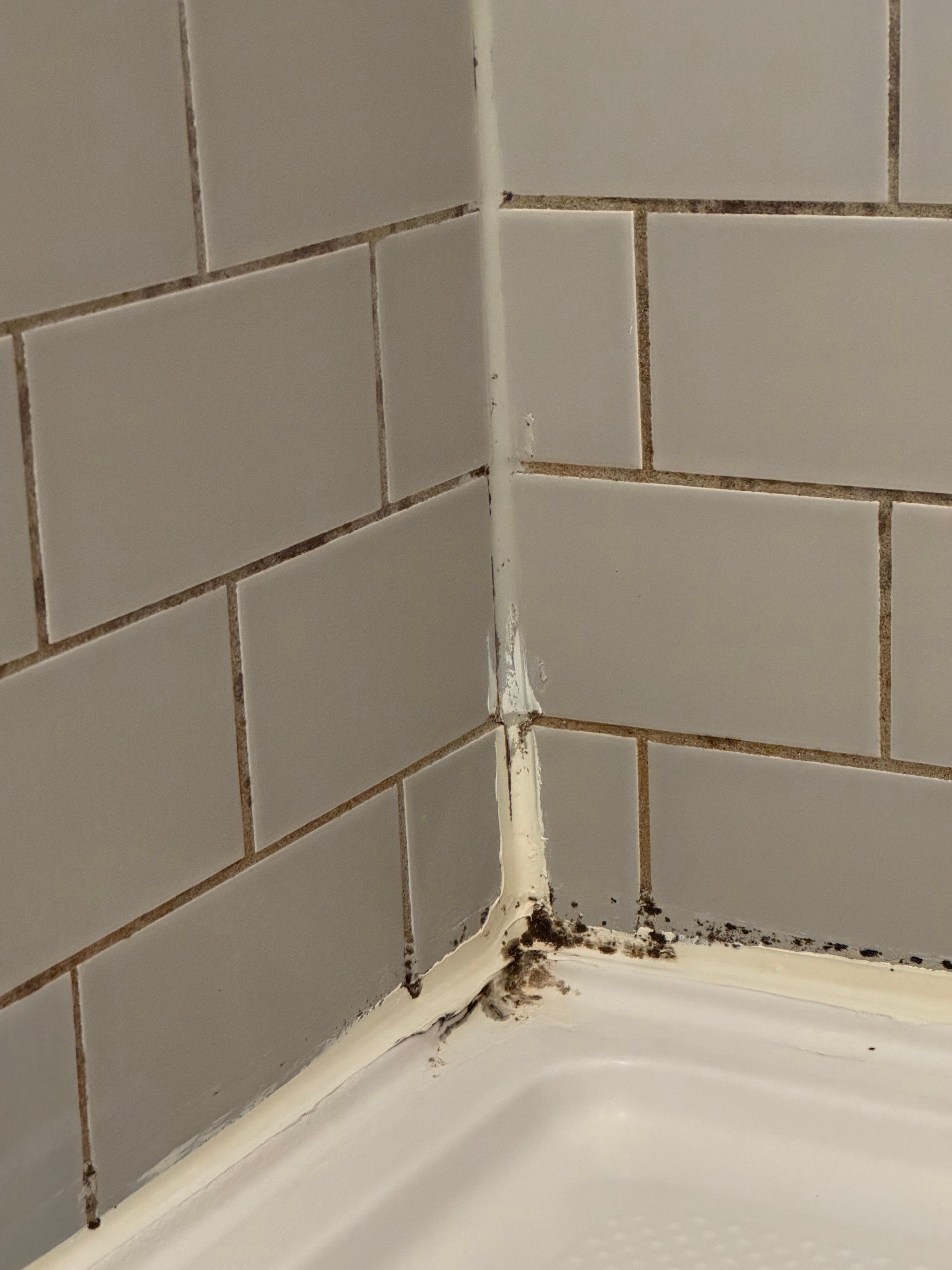 Dirty showers