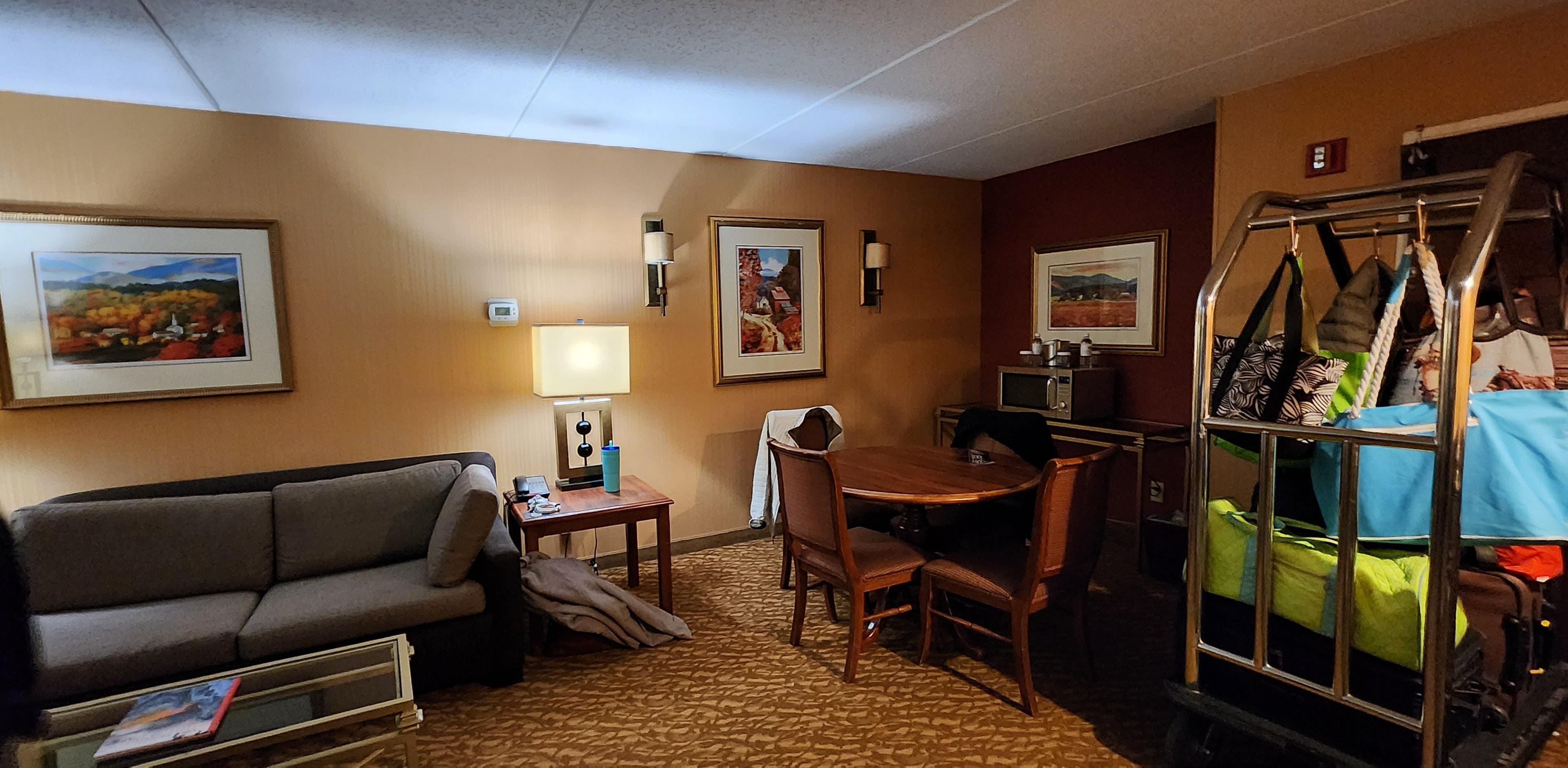 Living area with really comfortable sofa sleeper.