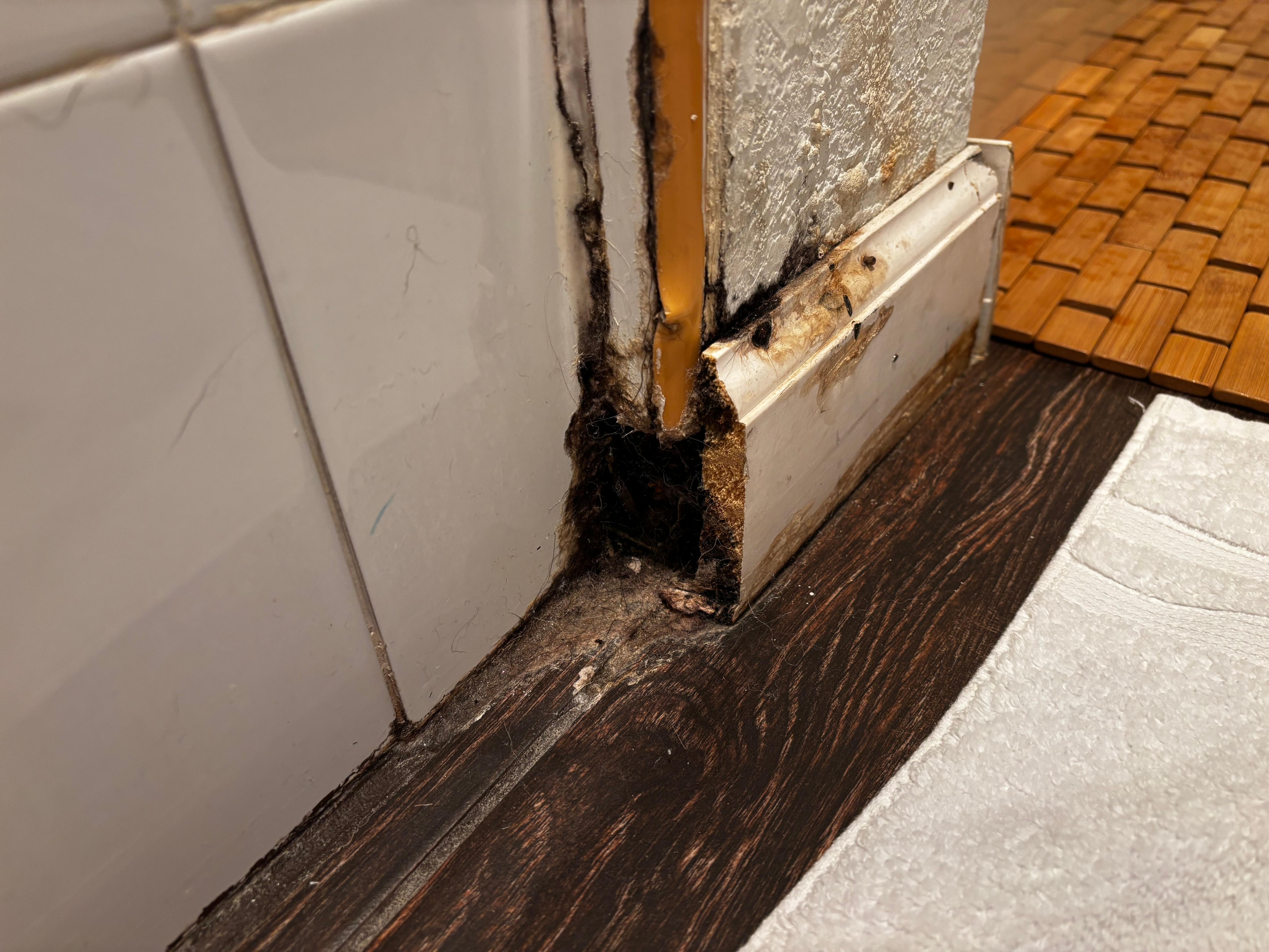 water damaged trim and drywall; organic growth