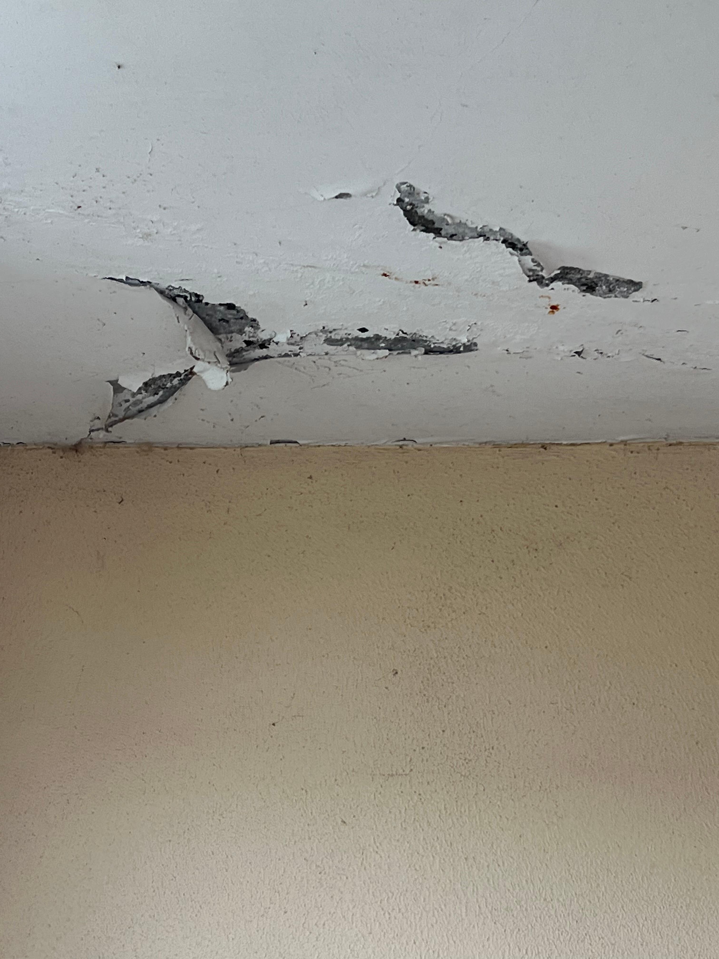 Ceiling is coming down