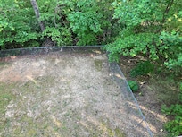 Backyard (still spring)