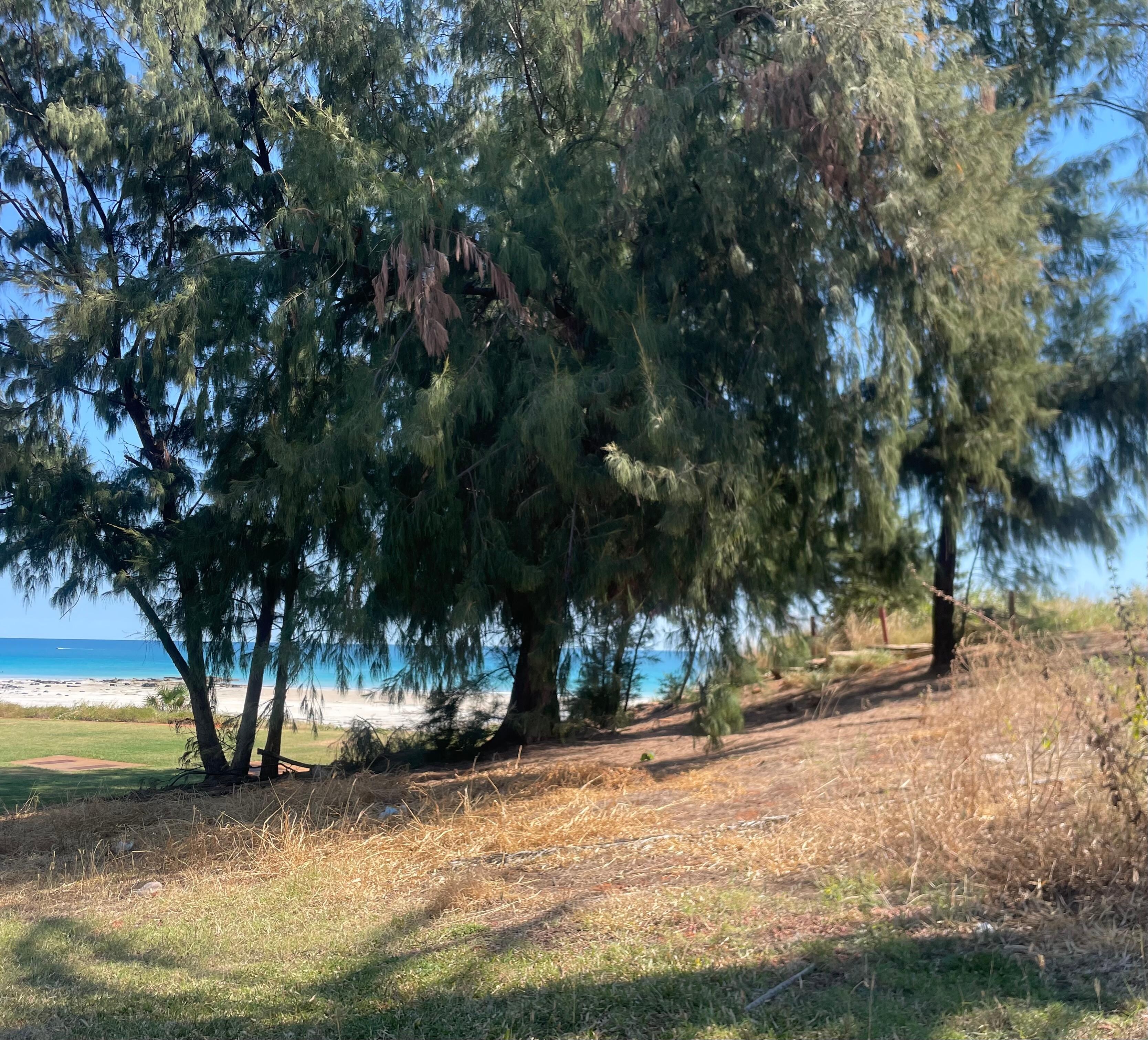 Cable Beach Park