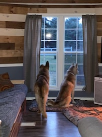 anticipating the next hike