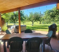 Patio, hot tub, and view of property with cherry trees