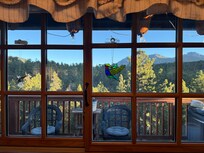 Looking out over the back deck.