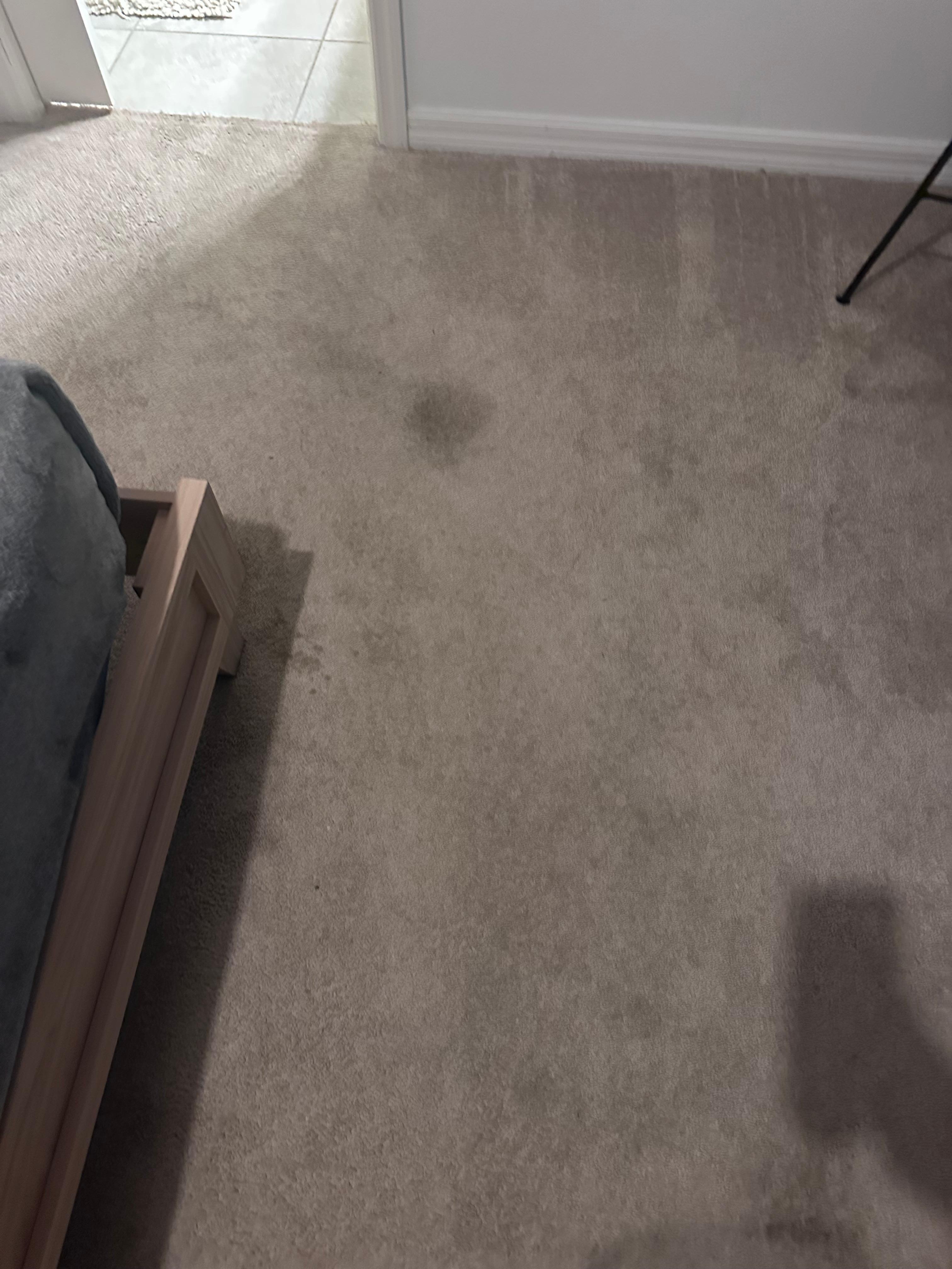 Master bedroom carpet also the bathroom had shampoo on the wall from previous person.