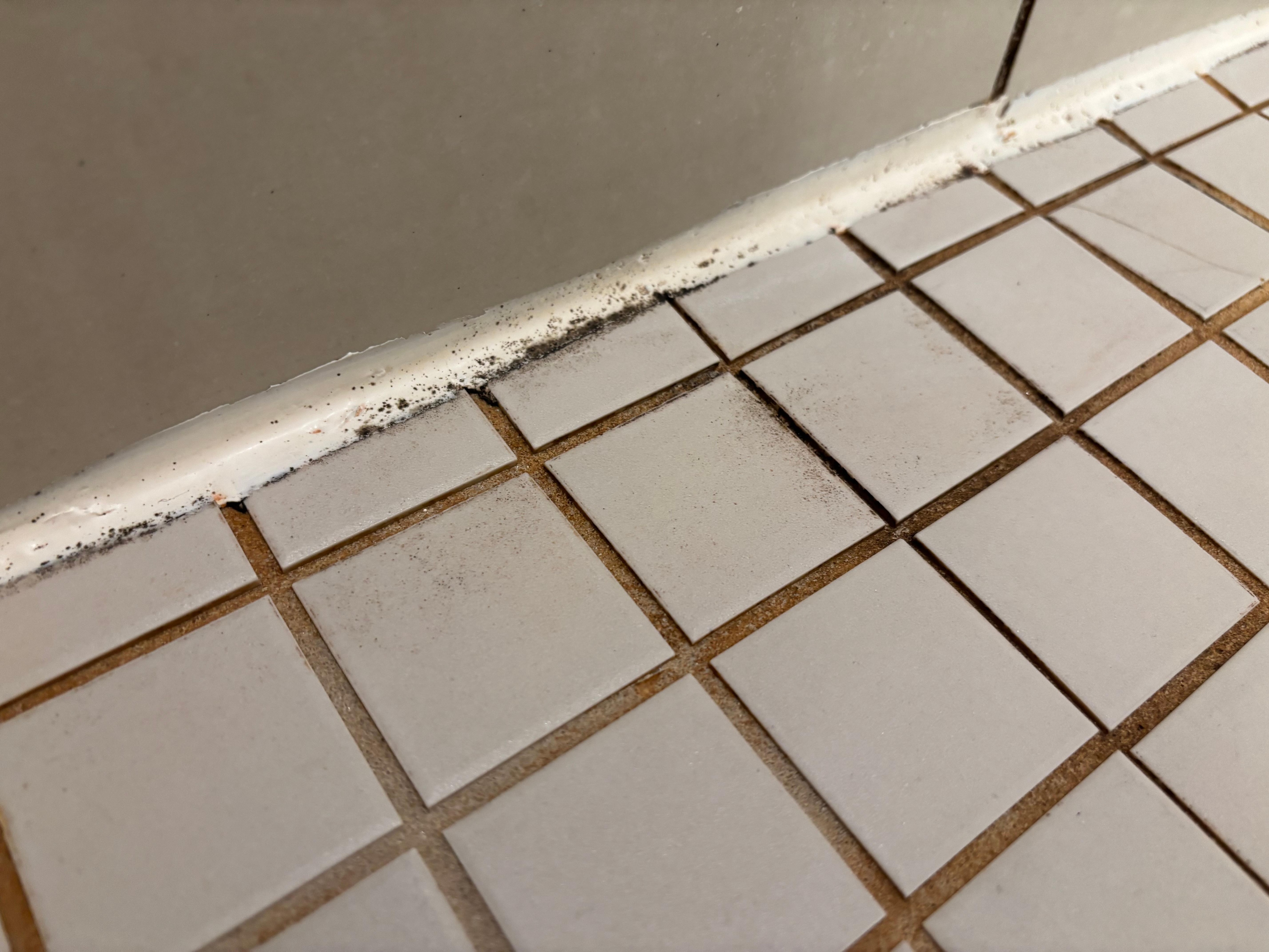 Mold around the trim of shower