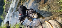 Mountain Fork River