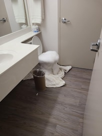 Toilet overflowing with foam