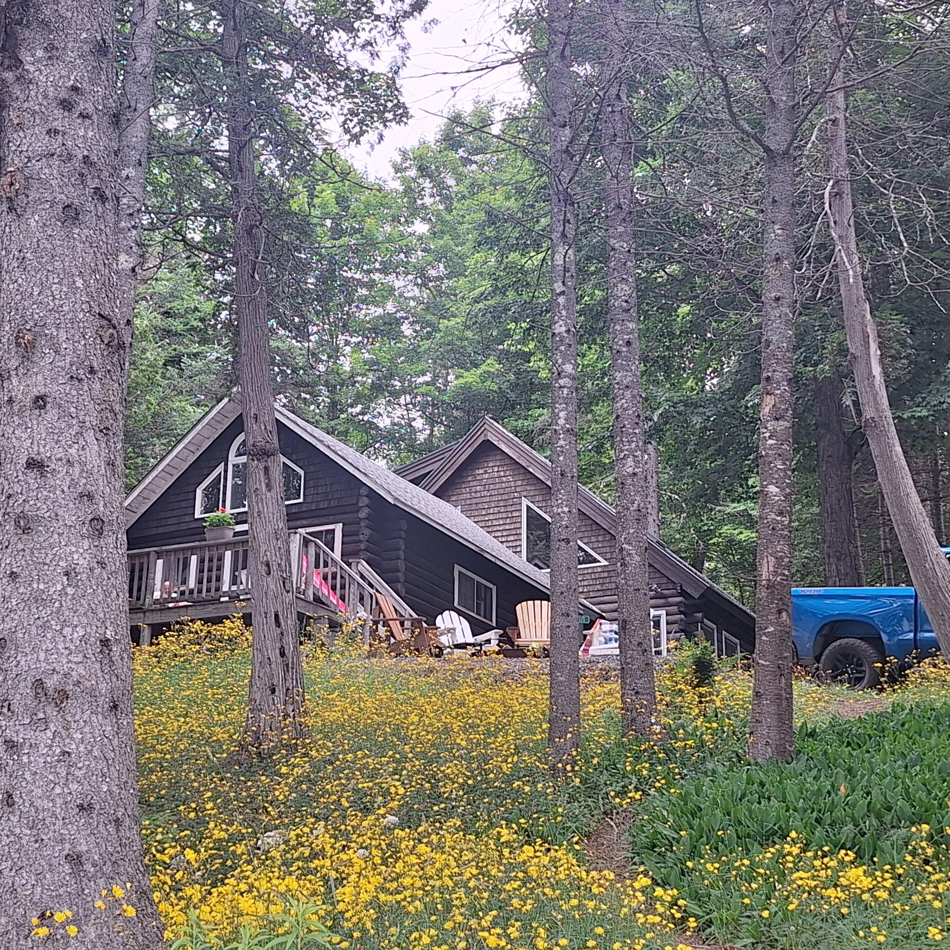 Tha cabin from the dock 