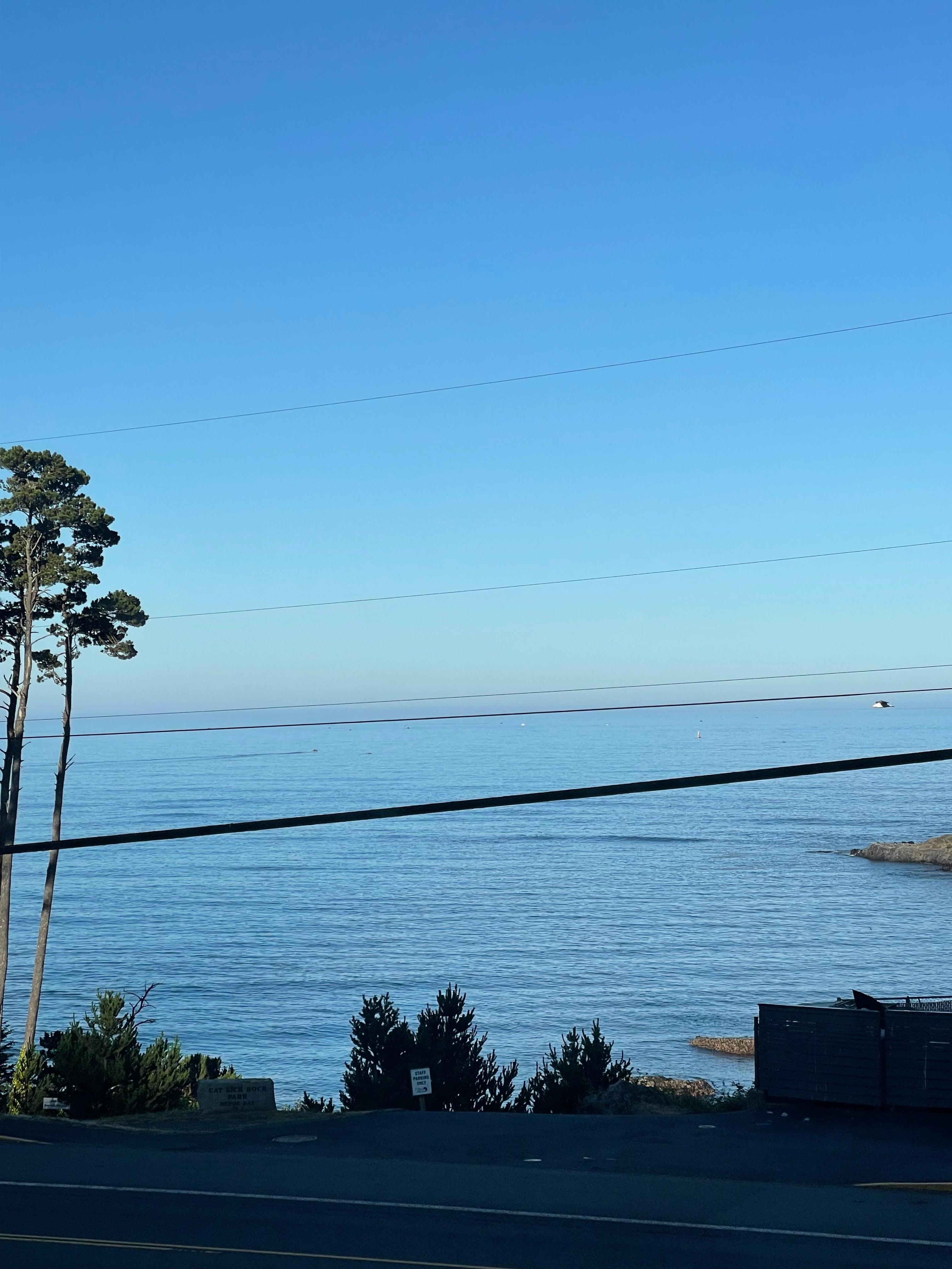 Window view from inside font room. 