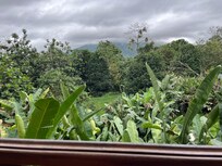 Meals at the onsite restaurant with a gorgeous view of nature