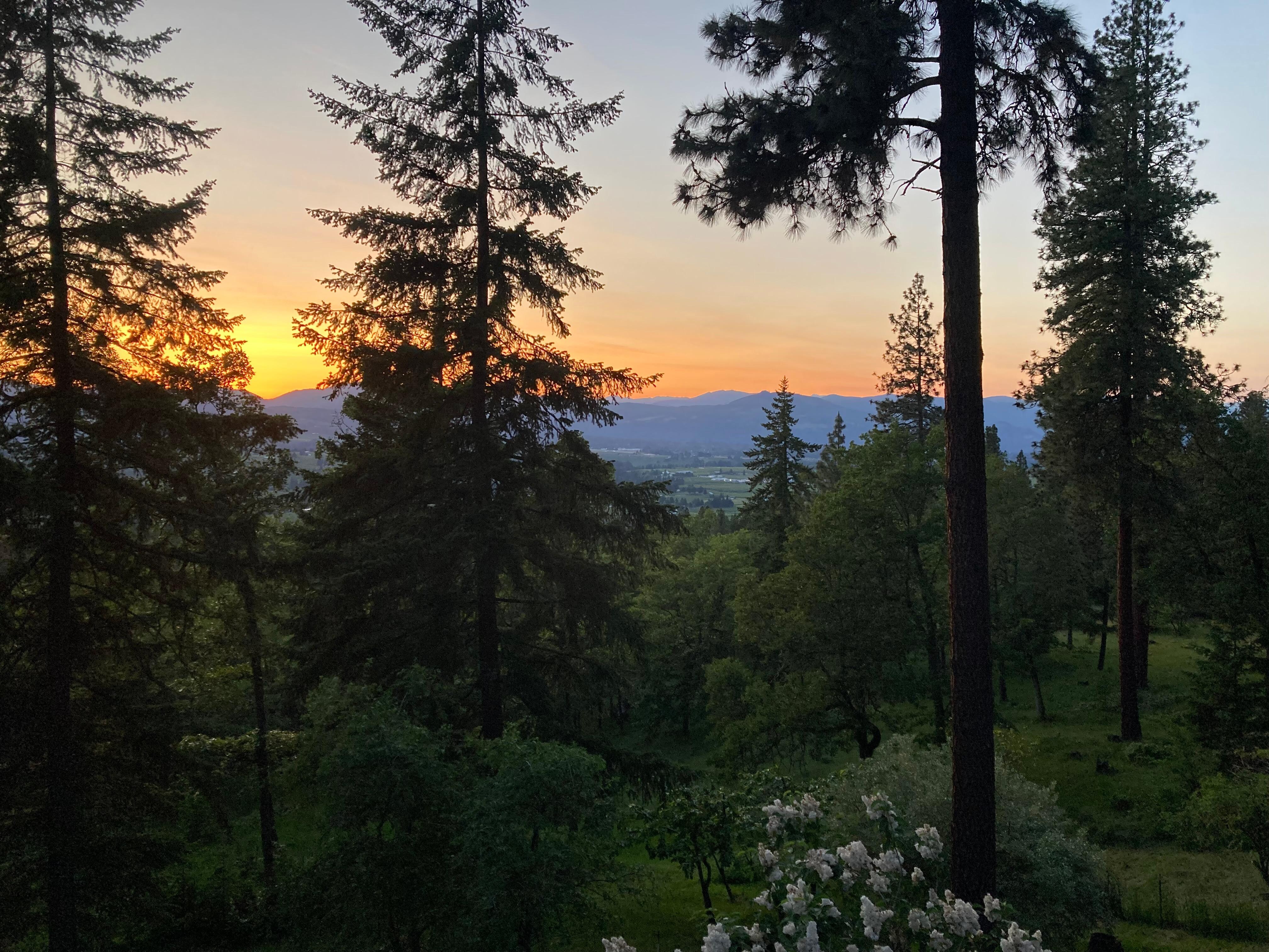 View off the upper deck looking toward the Hood River valley