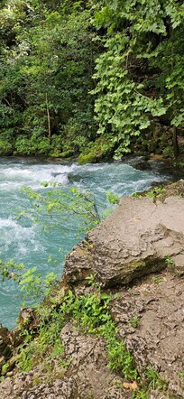 Big Springs